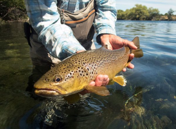 Learn to Fly Fish - We Fly Fish