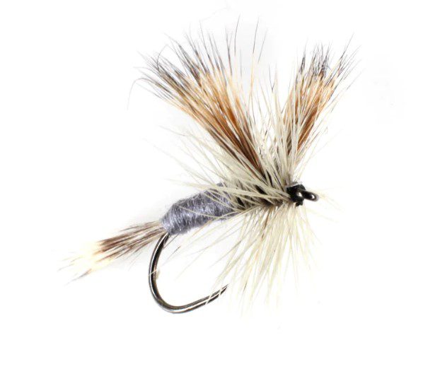 The Fly Fishing Place Adams Wulff Classic Trout Dry Fly Fishing Flies - Set  of 6 Flies Size 8